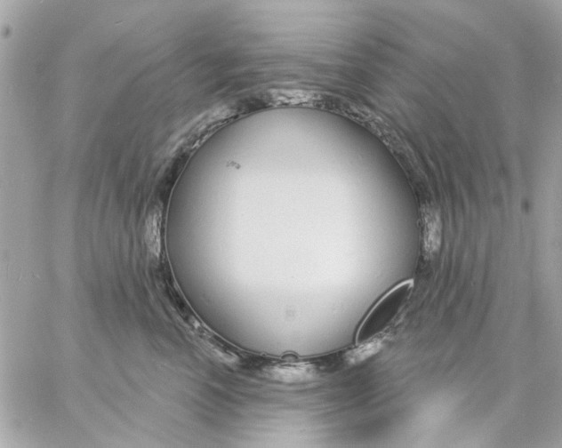 X0000057090666200510071912