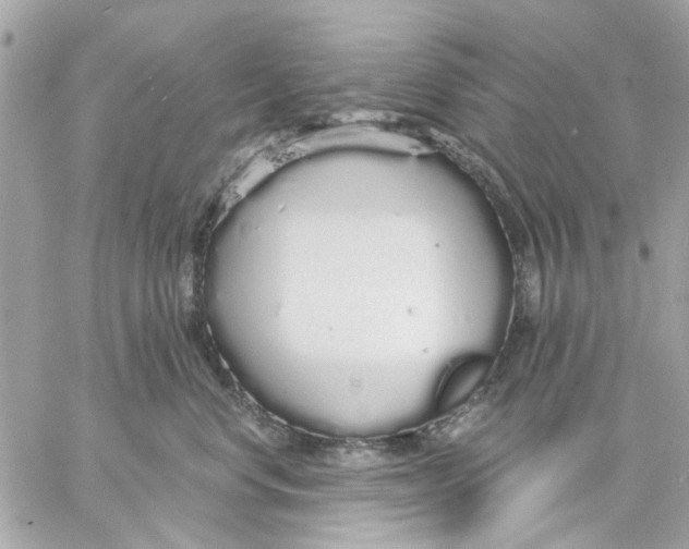 X0000057090668200510071912