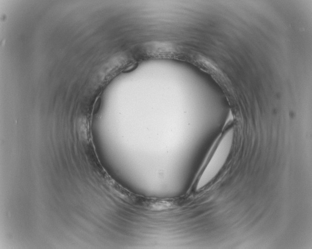 X0000057090669200510071912