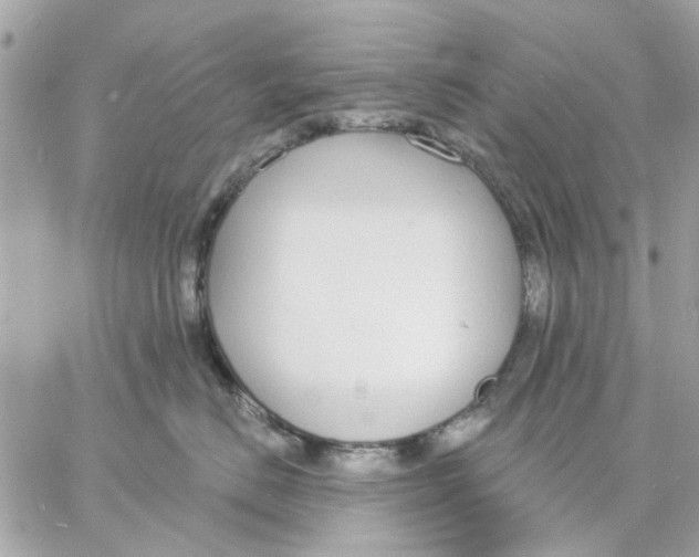 X0000057090670200510071912