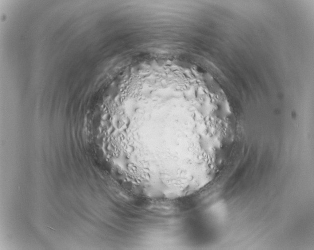 X0000057090671200510071913