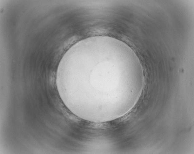 X0000057090672200510071913