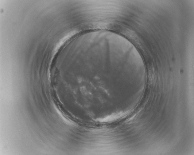 X0000057090674200510071912