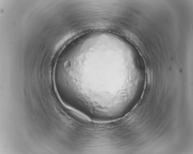 X0000057090675200510071912