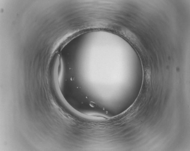 X0000057090676200510071912