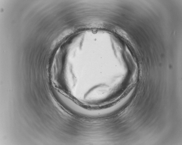 X0000057090677200510071912