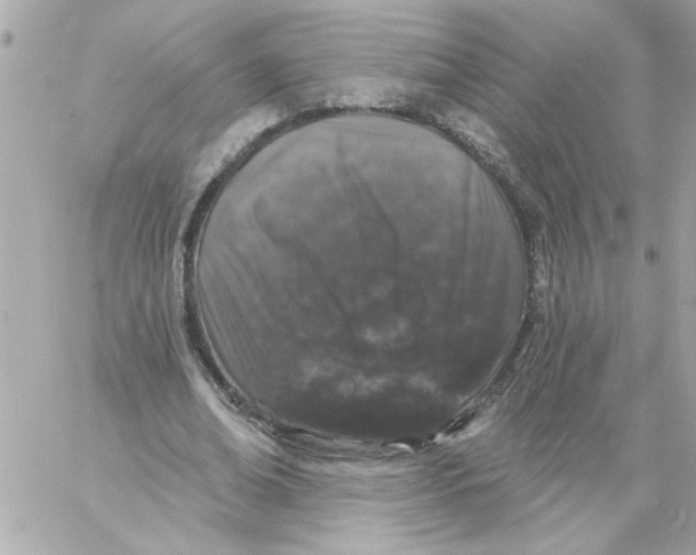 X0000057090678200510071912