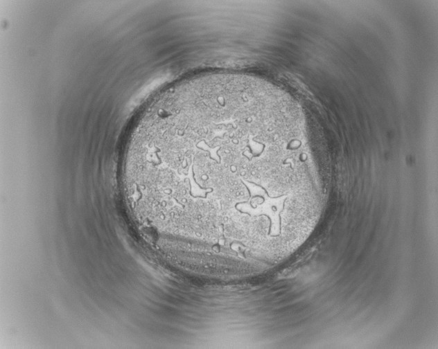 X0000057090679200510071912