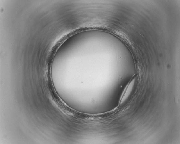 X0000057090680200510071912