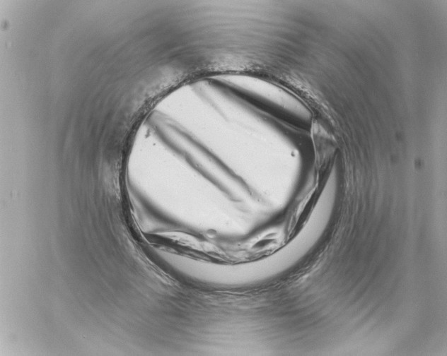 X0000057090681200510071912