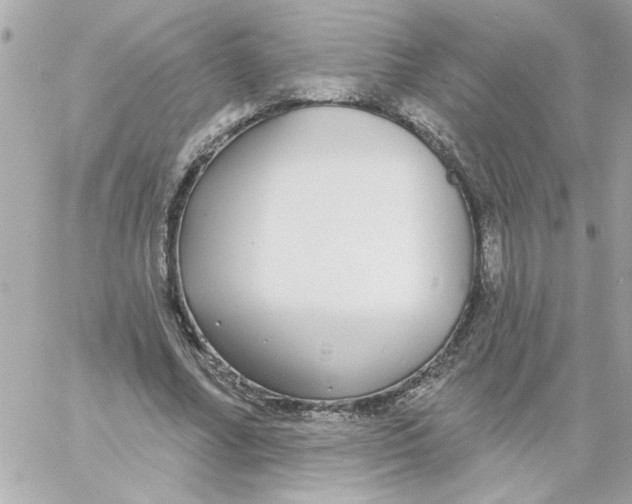 X0000057090682200510071912