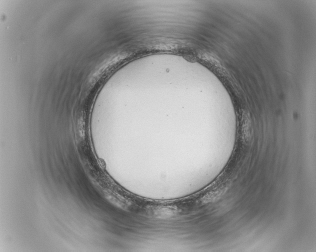 X0000057090683200510071912