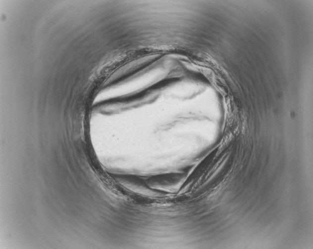 X0000057090685200510071912