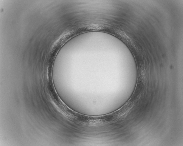 X0000057090686200510071911