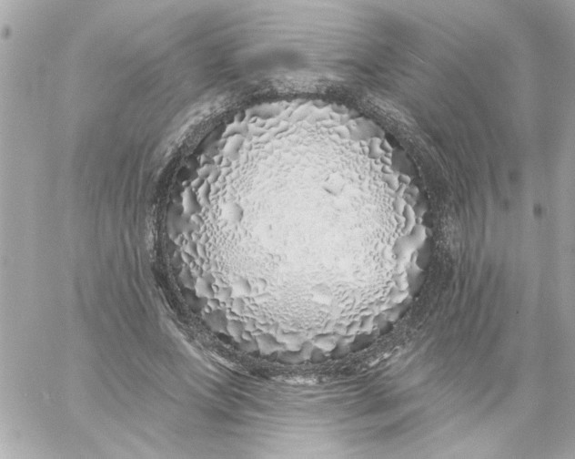 X0000057090687200510071911