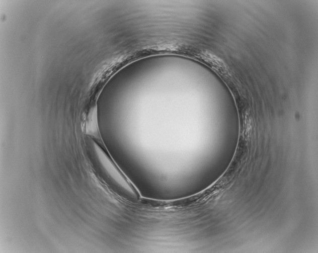 X0000057090688200510071911