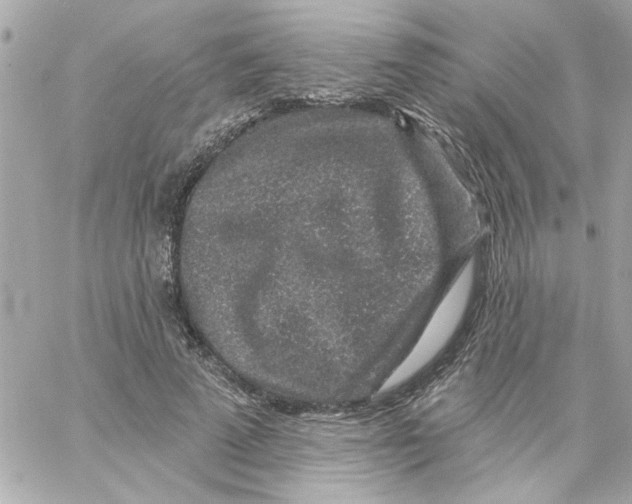 X0000057090689200510071911