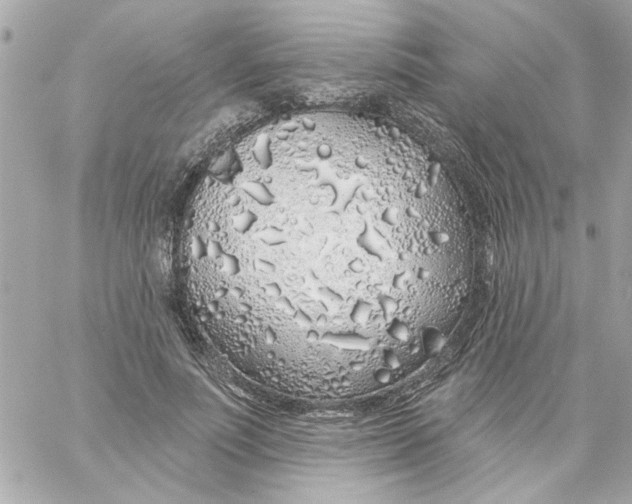 X0000057090691200510071911