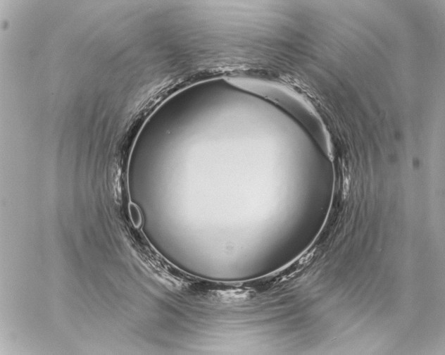 X0000057090692200510071911