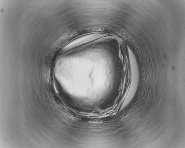 X0000057090693200510071911