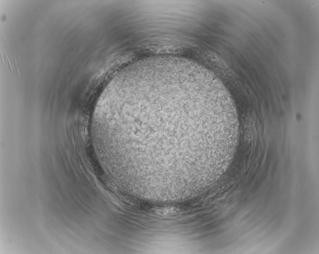 X0000057090695200510071911