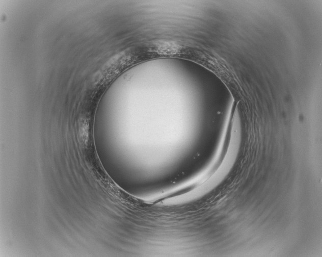 X0000057090697200510071911