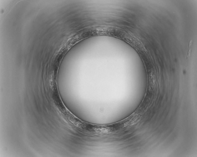 X0000057090698200510071911