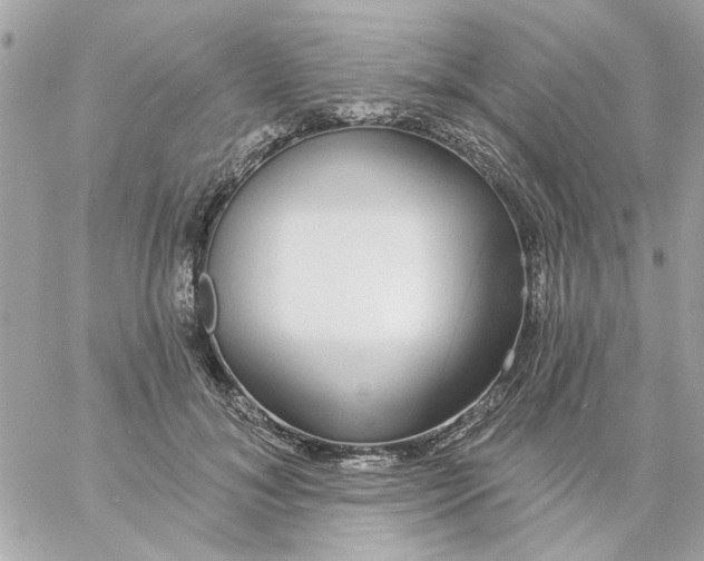 X0000057090700200510071911