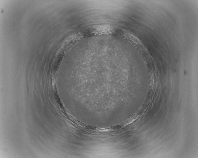 X0000057090701200510071911