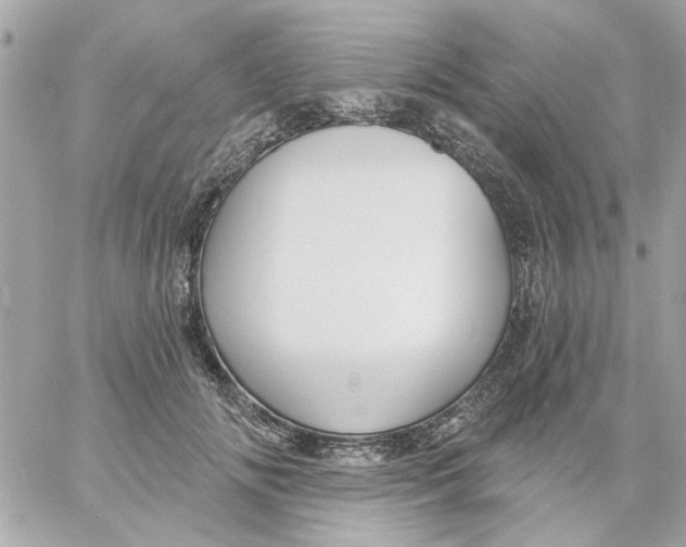 X0000057090702200510071911