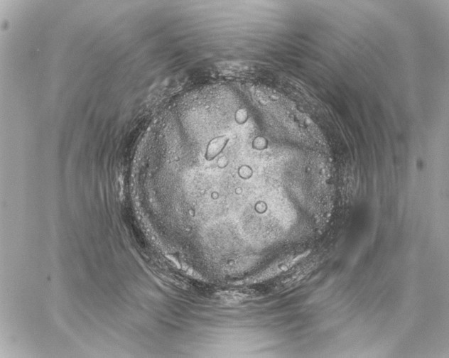 X0000057090703200510071911