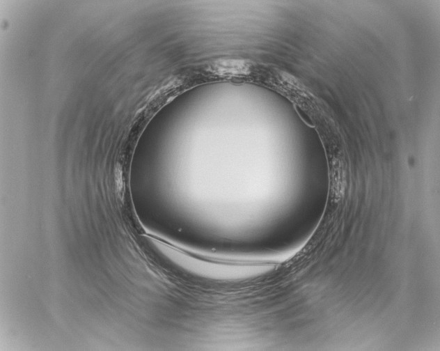 X0000057090704200510071911