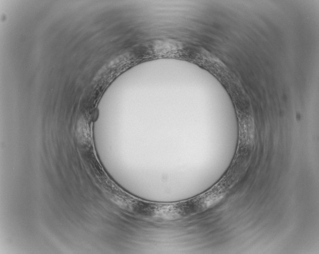 X0000057090705200510071911