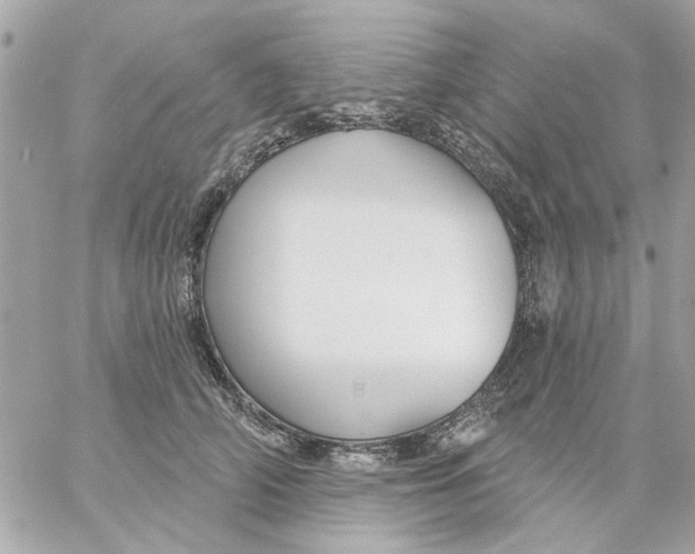 X0000057090706200510071911