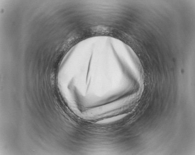 X0000057090708200510071911