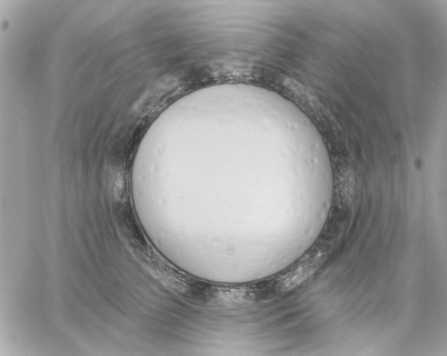 X0000057090709200510071911