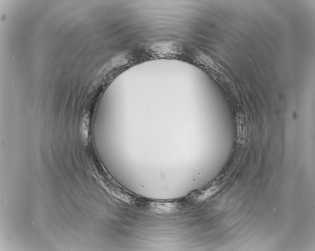 X0000057090710200510071911