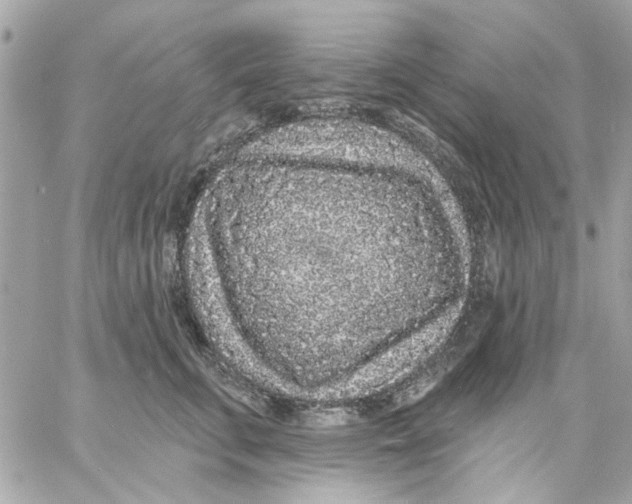 X0000057090711200510071911