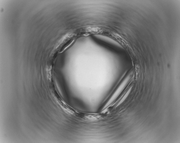 X0000057090712200510071911