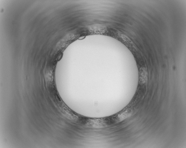 X0000057090713200510071911