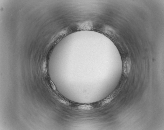 X0000057090714200510071911