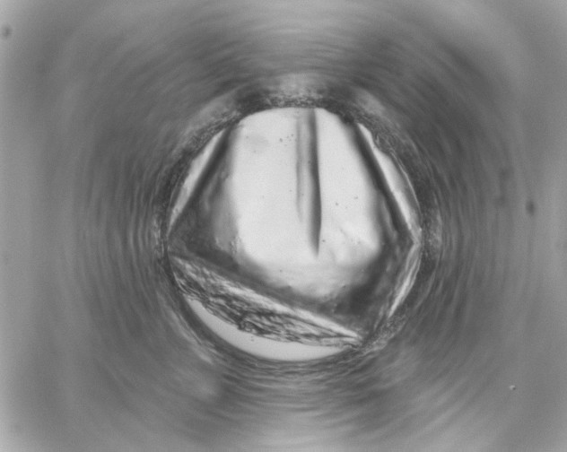 X0000057090715200510071911