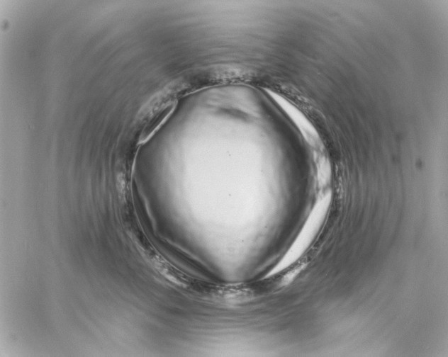 X0000057090716200510071911