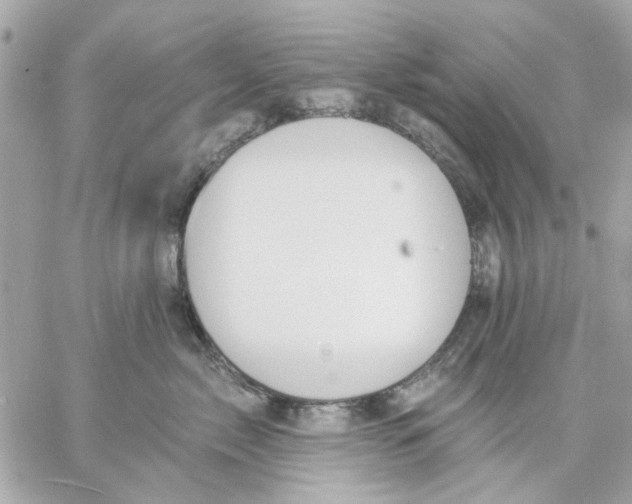 X0000057090717200510071911