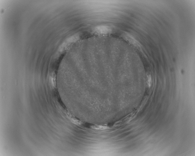 X0000057090718200510071911