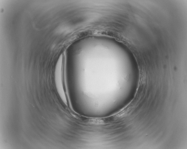 X0000057090719200510071911