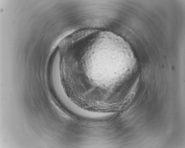 X0000057090722200510071910