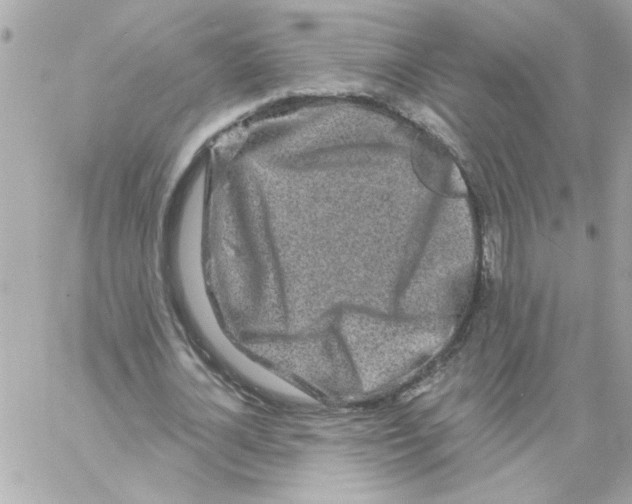 X0000057090724200510071910