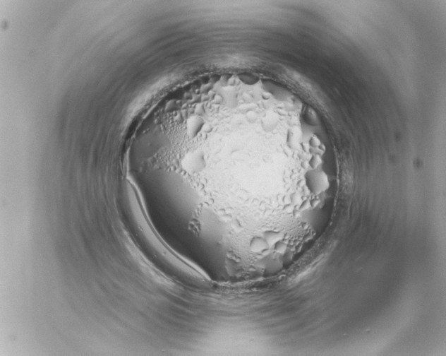 X0000057090725200510071910