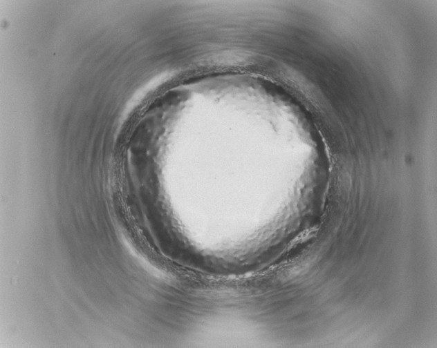 X0000057090726200510071910